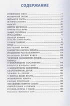 Уценка! ИЛЛЮСТРИРОВАННАЯ БИБЛИЯ ДЛЯ ДЕТЕЙ. Светлана Кипарисова