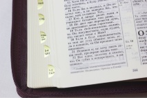 БИБЛИЯ 055 ZTI Коричневый, узор-тиснен. цветы, парал. места, на молнии, индексы, словарь, закладка /130x185/