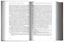 ВОЗЛЮБИВШИЙ ХРИСТА. Святоотеческие толкования на книгу Иова. Петр Малков