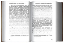 ВОЗЛЮБИВШИЙ ХРИСТА. Святоотеческие толкования на книгу Иова. Петр Малков
