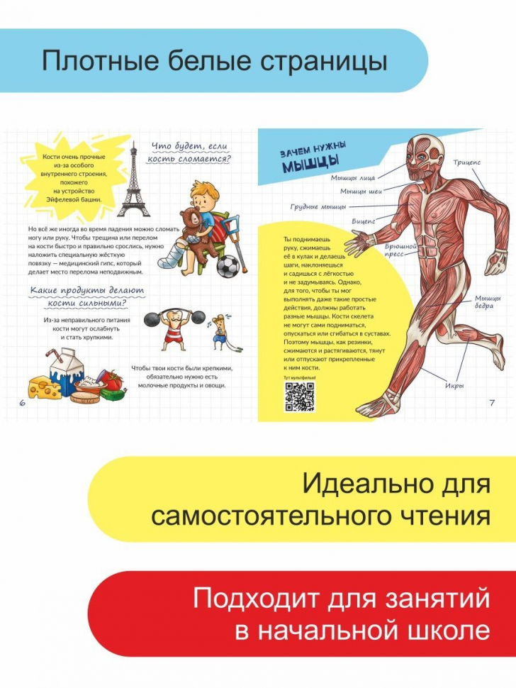 ТАЙНЫ ТВОЕГО ТЕЛА. Энциклопедия для детей