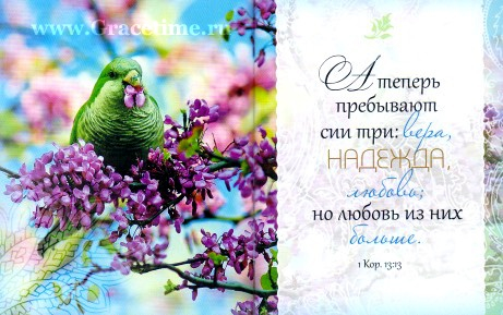 Уценка! БИБЛИЯ О НАДЕЖДЕ. Цитатник. Подарочный вариант