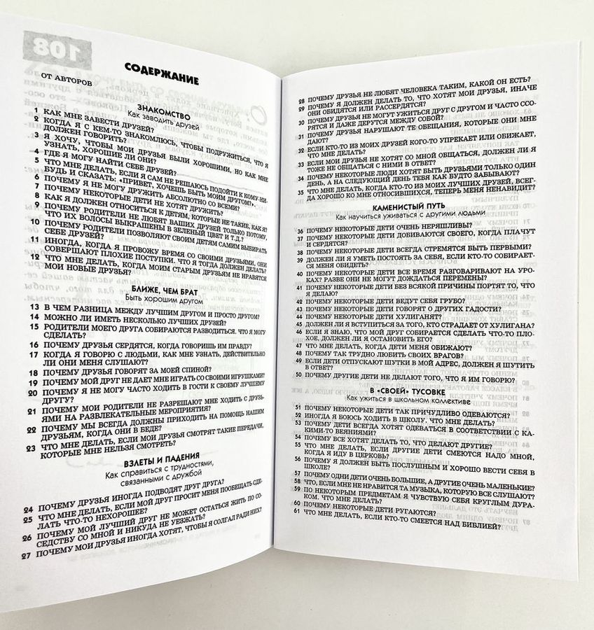 108 ВОПРОСОВ, КОТОРЫЕ ДЕТИ ЗАДАЮТ О ДРУЗЬЯХ И ШКОЛЕ. Дэвид Вирман