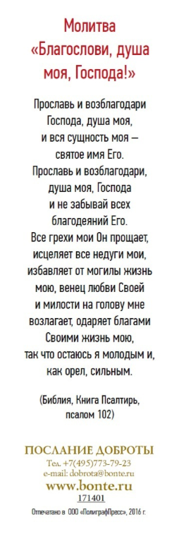 Закладка одинарная 4x16: Да благословит тебя Господь 