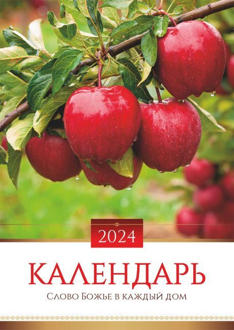 Перекидной календарь 2024: Слово Божье в каждый дом (12 листов)