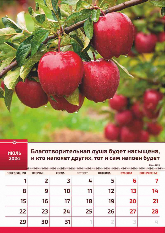 Перекидной календарь 2024: Слово Божье в каждый дом (12 листов)
