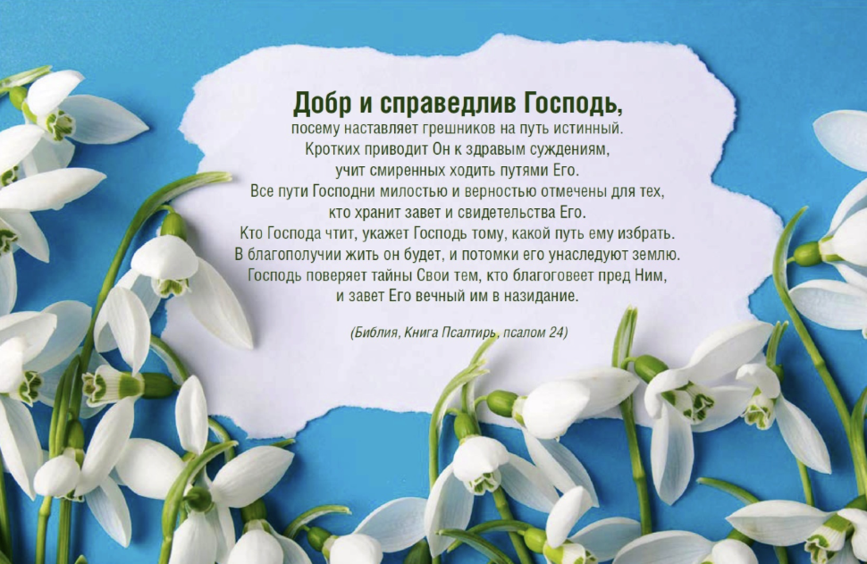 Настольный календарь 2018: Притчи Соломона