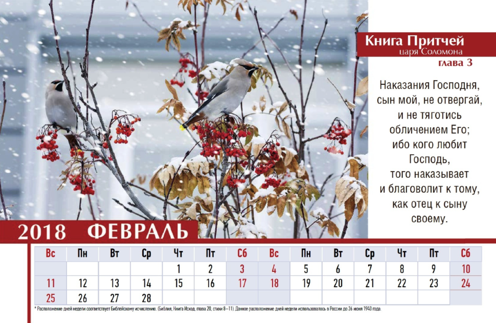 Настольный календарь 2018: Притчи Соломона