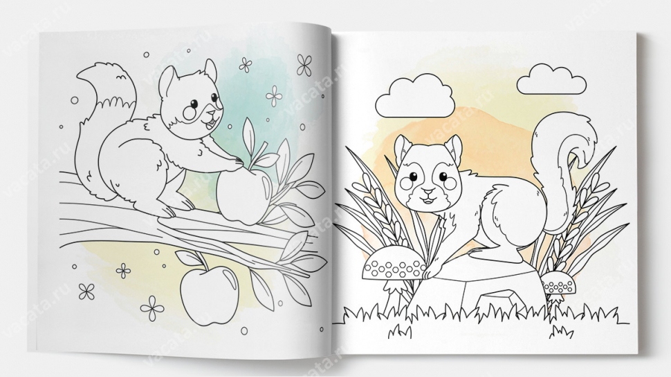 Раскраска &quot;В МИРЕ ЖИВОТНЫХ&quot;