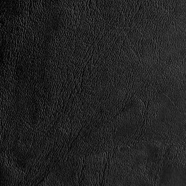 ЧЕХОЛ НА БИБЛИЮ. Черный цвет, кож. зам. полиуретан, пластик, молния /разные размеры/