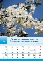 Перекидной календарь 2025: Слово Божье в каждый дом. 12 листов /Библейская лига/