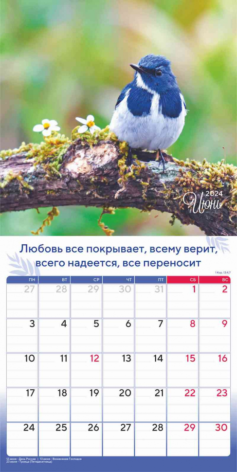 Перекидной календарь 2024: Природа славит Творца