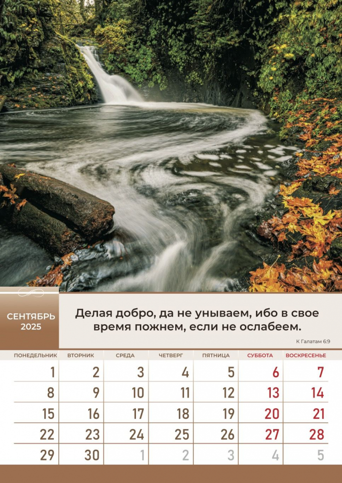Перекидной календарь 2025: Слово Божье в каждый дом. 6 листов /Библейская лига/