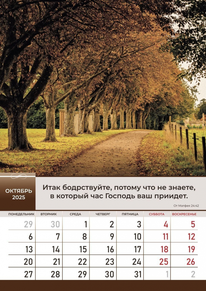 Перекидной календарь 2025: Слово Божье в каждый дом. 6 листов /Библейская лига/