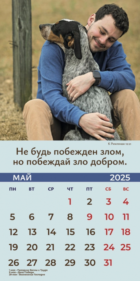 Перекидной календарь 2025: Достигая цели (мужской) /Библейская лига/