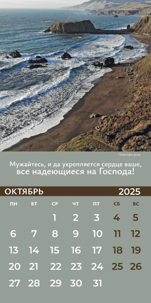 Перекидной календарь 2025: Достигая цели (мужской) /Библейская лига/