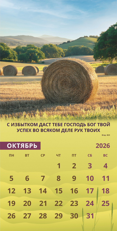 Перекидной календарь 2026: Достигая цели (мужской) /Акварель/