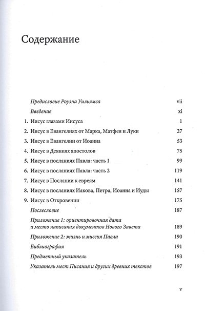 ИИСУС В НОВОМ ЗАВЕТЕ. Джеймс Данн
