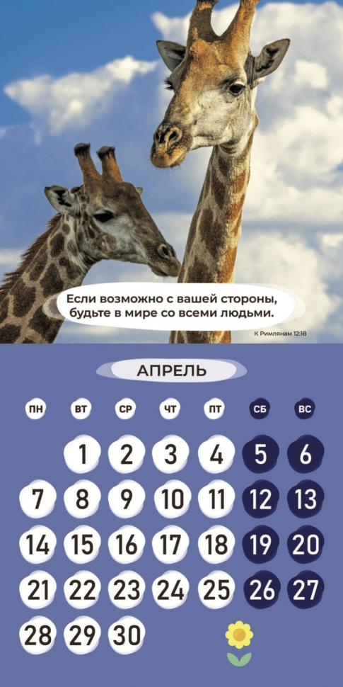 Перекидной календарь 2025: Забавные животные (детский) /Библейская лига/