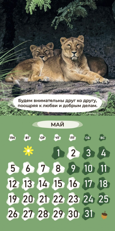 Перекидной календарь 2025: Забавные животные (детский) /Библейская лига/