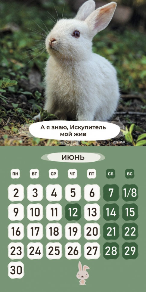 Перекидной календарь 2025: Забавные животные (детский) /Библейская лига/