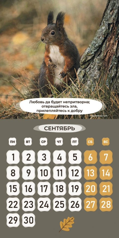 Перекидной календарь 2025: Забавные животные (детский) /Библейская лига/