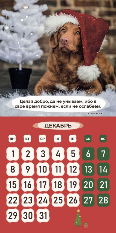 Перекидной календарь 2025: Забавные животные (детский) /Библейская лига/