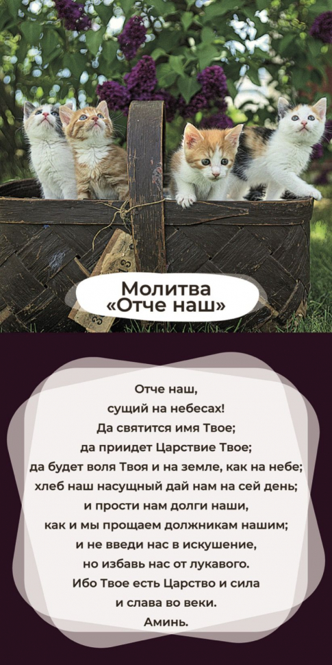 Перекидной календарь 2025: Забавные животные (детский) /Библейская лига/