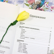 Уценка! НЕ ДЛЯ ТАКОГО ЛИ ВРЕМЕНИ? Игорь Чесноков