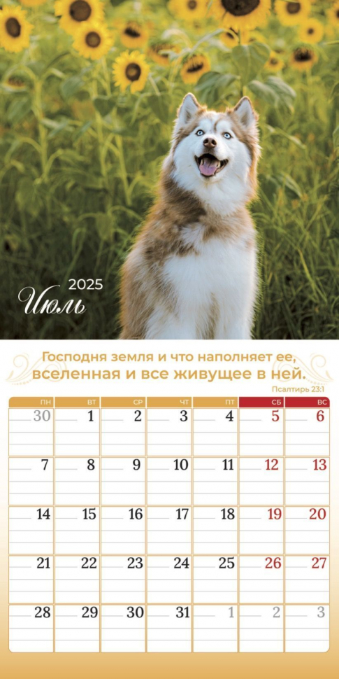 Перекидной календарь 2025: Природа славит Творца /Библейская лига/