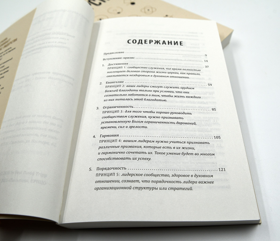 Уценка! ЛИДЕРСТВО. 12 евангельских принципов лидерства в церкви. Пол Дэвид Трипп 