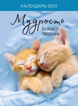 Перекидной календарь на пружине 2023: Мудрость Божьего творения