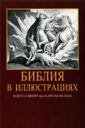 БИБЛИЯ В ИЛЛЮСТРАЦИЯХ. Шнорр фон Карольсфельд. Подарочное издание