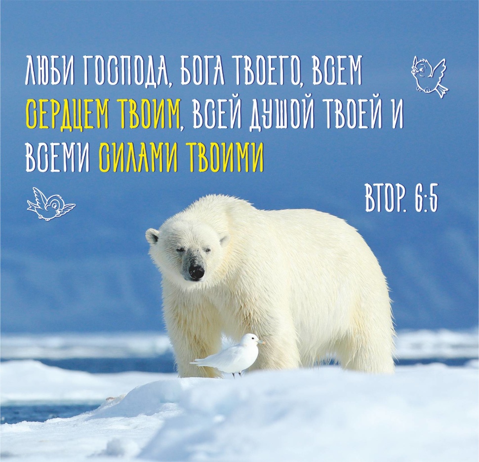 ДЕТСКИЙ БИБЛЕЙСКИЙ ЦИТАТНИК &quot;Забавные животные&quot;