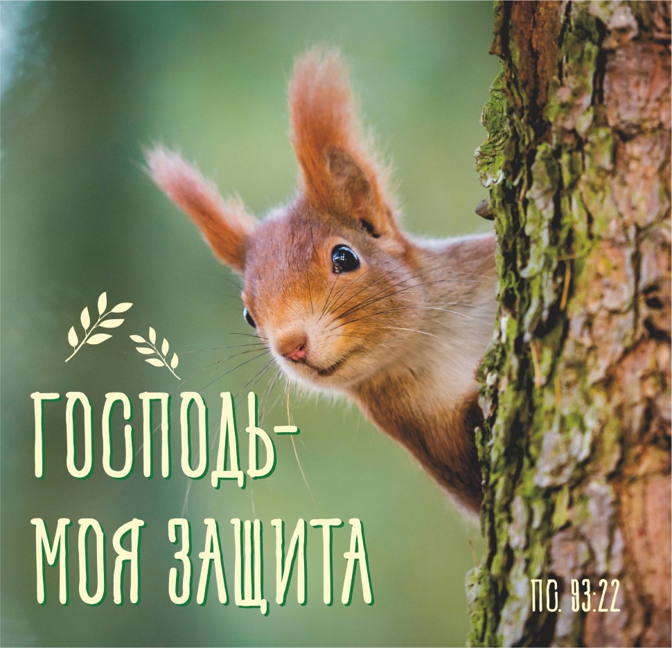 ДЕТСКИЙ БИБЛЕЙСКИЙ ЦИТАТНИК &quot;Забавные животные&quot;