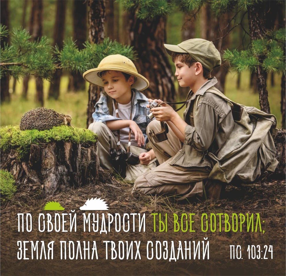 ДЕТСКИЙ БИБЛЕЙСКИЙ ЦИТАТНИК &quot;Забавные животные&quot;