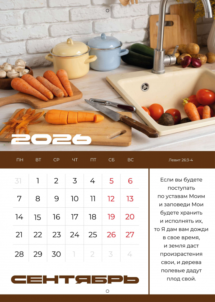Перекидной календарь 2026: Мир дому твоему /Библейская лига/ 