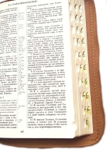 БИБЛИЯ 055 ZTI Бежевая, 2 рыбки, парал. места, молния, золотой срез, индексы, словарь /145x205/