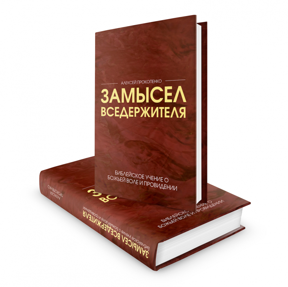 Уценка! ЗАМЫСЕЛ ВСЕДЕРЖИТЕЛЯ. Библейское учение о Божьей воле и провидении. Алексей Прокопенко