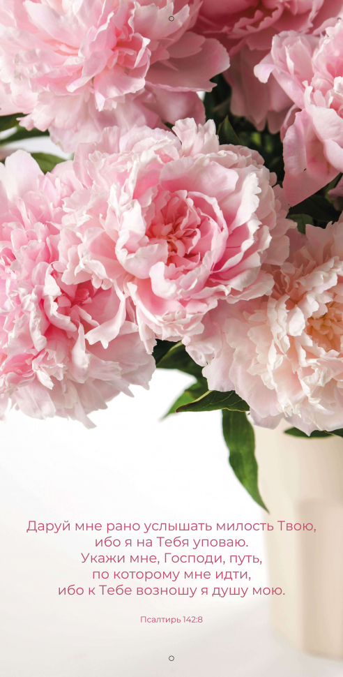 Перекидной календарь 2026: Любима, избрана, хранима (женский) /Библейская лига/