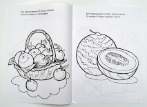 ДАРЫ ЗЕМЛИ. Елена Шамрова. Книжка-раскраска