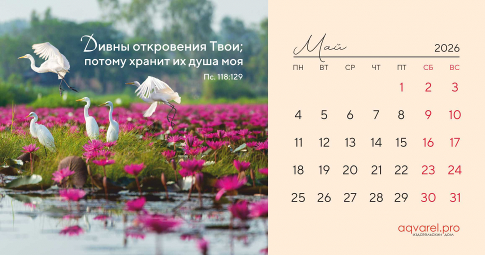Настольный календарь 2026: Дыхание природы /домик/