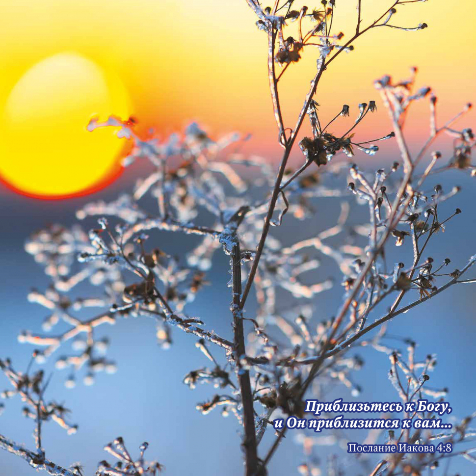 Перекидной календарь на 2026 год: Природа