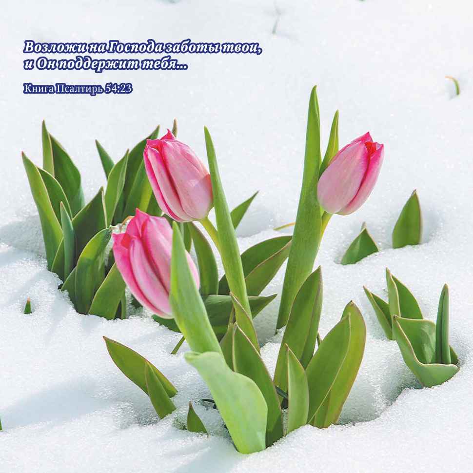 Перекидной календарь на 2026 год: Природа