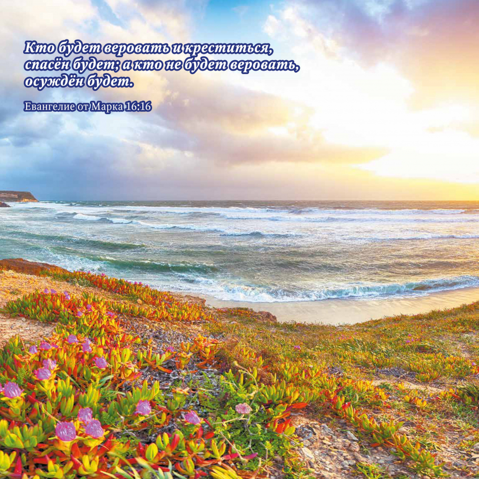 Перекидной календарь на 2026 год: Природа