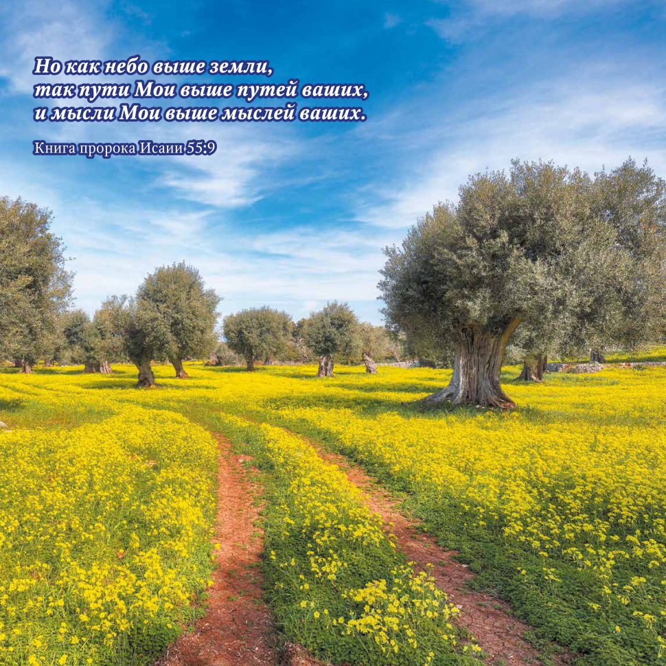 Перекидной календарь на 2026 год: Природа