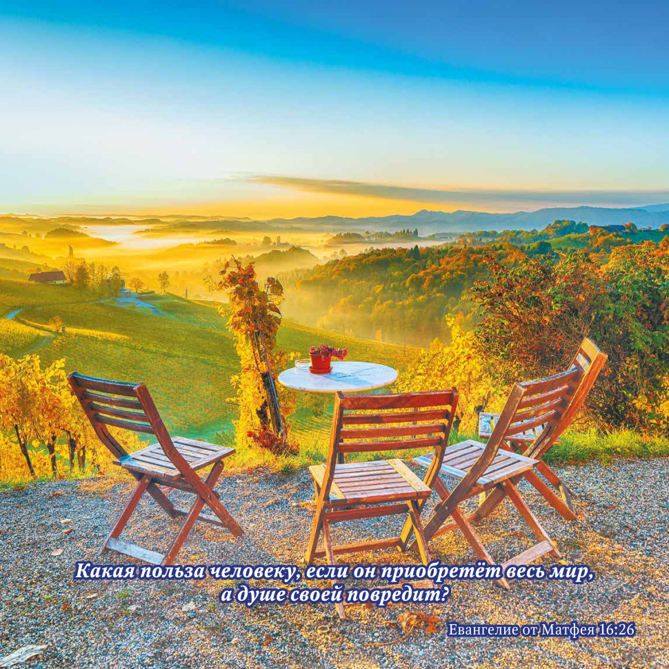 Перекидной календарь на 2026 год: Природа