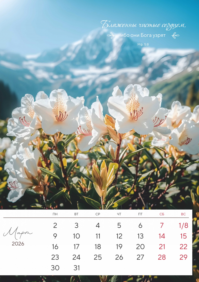 Перекидной календарь 2026: Дыхание природы. 6 листов /Акварель/