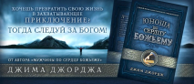 Уценка! ЮНОША ПО СЕРДЦУ БОЖЬЕМУ. Джим Джордж