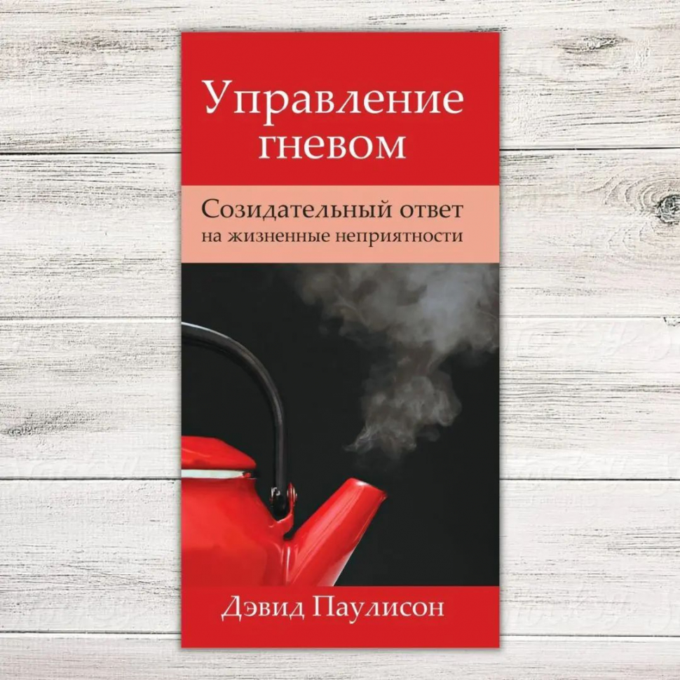 УПРАВЛЕНИЕ ГНЕВОМ. Созидательный ответ на жизненные неприятности. Дэвид Паулисон